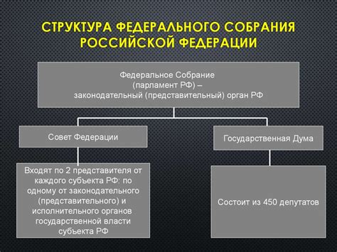 Федеральное собрание: структура и функции