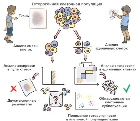 Ферментативное созревание