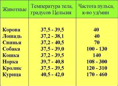 Ферритинин: что делать при отклонении показателя от нормы