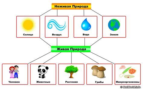 Фея: связь с миром природы и элементами