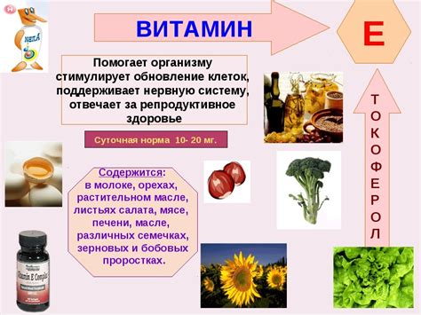 Физиологическая роль витамина Е