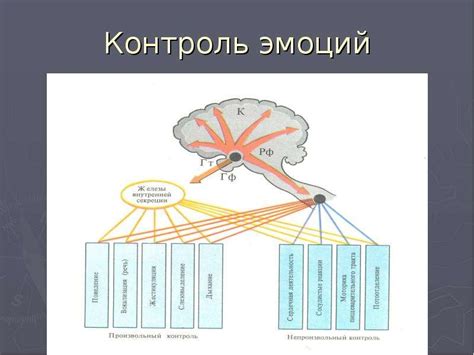 Физиологические аспекты подлинных эмоций