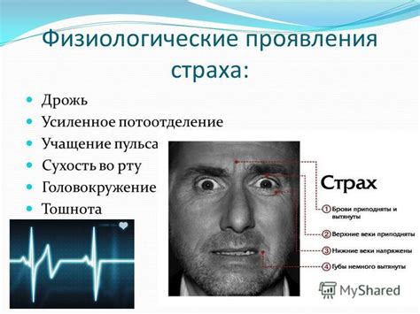 Физиологические и психологические проявления страха