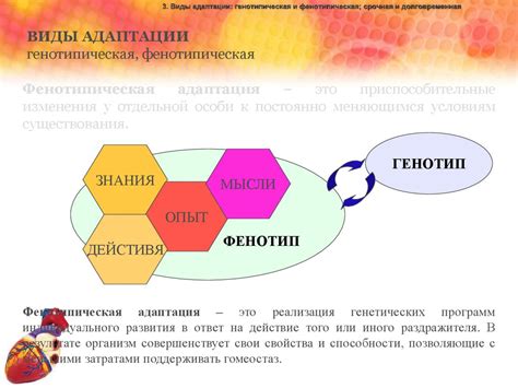 Физиологические механизмы организма