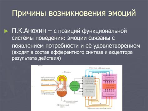 Физиологические основы возникновения