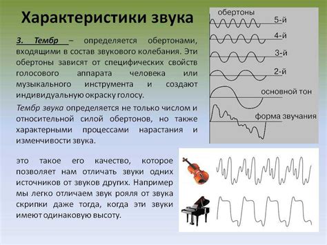 Физиологические основы звука "мурлыканье"