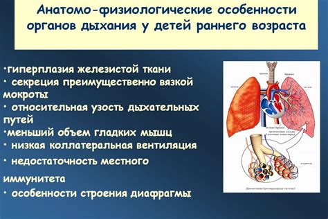 Физиологические особенности цепкого взгляда