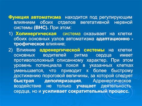 Физиологические причины: влияние адреналина и адренергической системы на сновидения