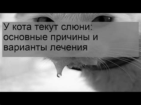 Физиологические причины и роль слюнотечения