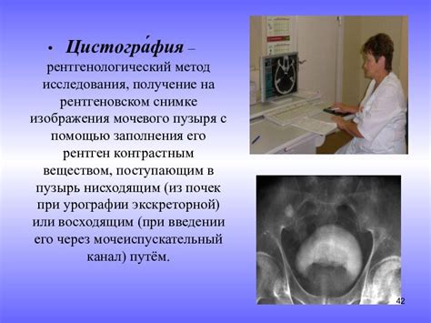 Физиологические причины мочевого маркирования