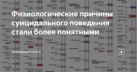 Физиологические причины поведения