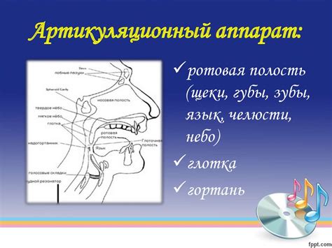 Физиологические причины рыдания огорчением