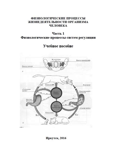 Физиологические процессы, вызывающие "Меня штырит"