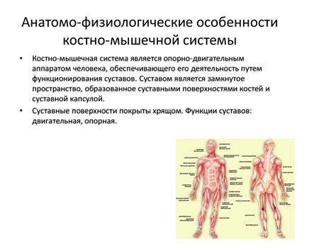 Физиологические процессы при мышечной усталости