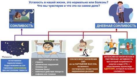 Физиологические симптомы сонливости