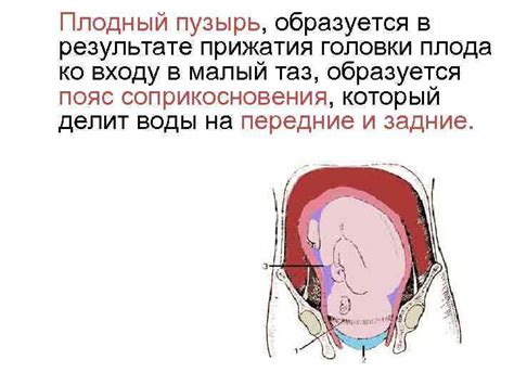 Физиологический процесс кончания у женщин