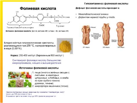 Физиологическое действие