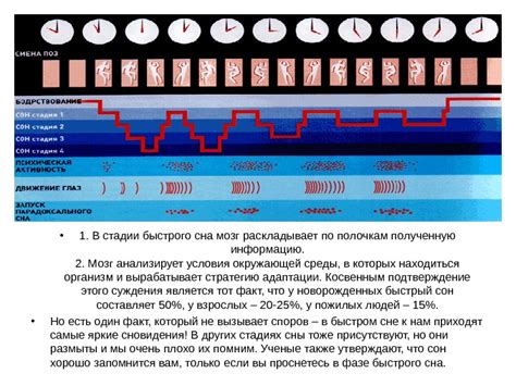 Физиологическое значение выражения "переть это"