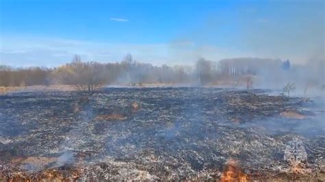 Физиологическое объяснение горения травы во сне