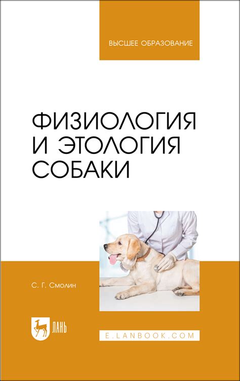 Физиология собаки и особенности вентиляции легких