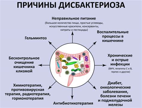 Физическая активность в восстановлении микрофлоры кишечника