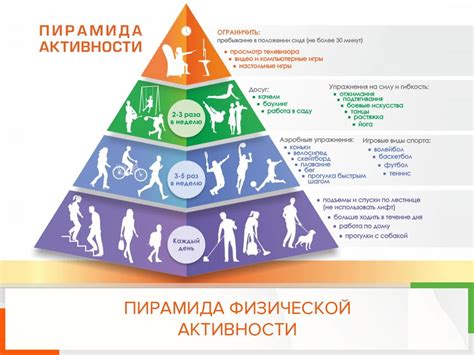 Физическая активность и аланинаминотрансфераза: взаимосвязь