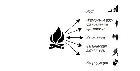 Физическая неактивность: опасность для организма