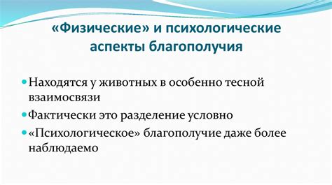 Физические и психологические аспекты легкого стана