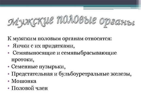 Физические и эмоциональные аспекты прикосновений к мужским половым органам