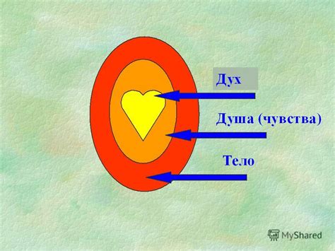 Физические и эмоциональные потребности