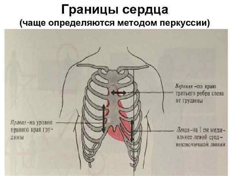 Физические проявления наливания кровью