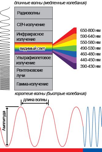 Физические свойства темного света