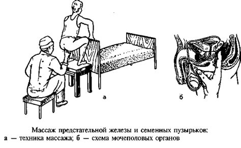 Физические эффекты стимуляции простаты