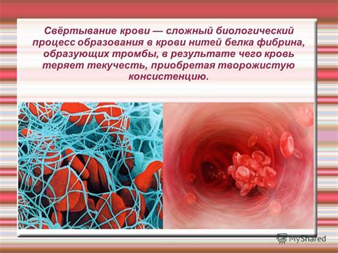 Физический процесс образования нитей в сметане