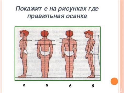 Физическое положение и его значение для здоровья