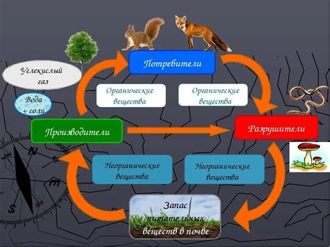 Философское понятие круговорота жизни