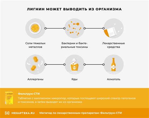 Фильтрум: 6 стилистических особенностей