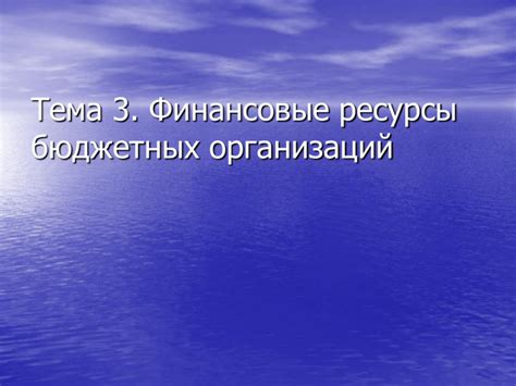 Финансовые механизмы бюджетных организаций