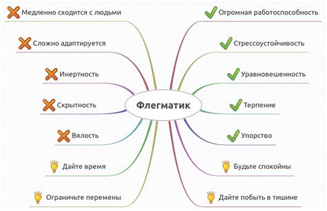 Флегматики в обществе