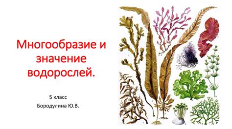 Флешбеки: основные виды и их значения