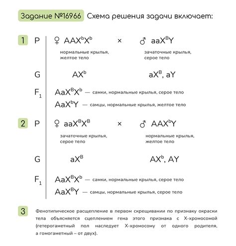 Фолликулы с желтым телом: основные факты