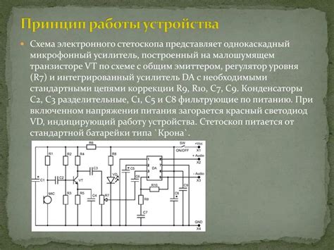 Фонендоскоп: анатомическое устройство и принцип работы