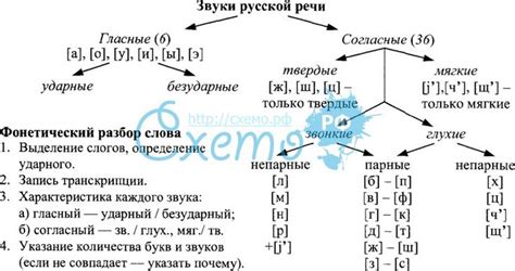 Фонетический слог и его значение в русской речи