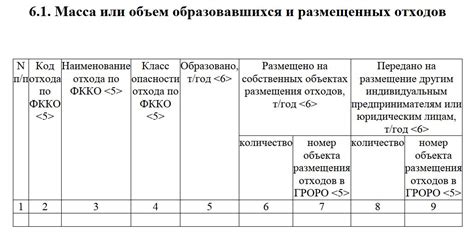 Формат и структура наименования объекта размещения отходов в декларации