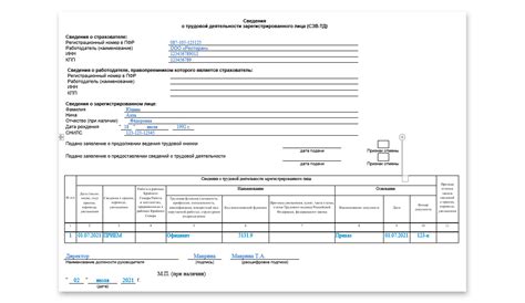 Формирование правильного отчета СЗВ-ТД