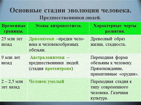 Формирование человека: основные этапы