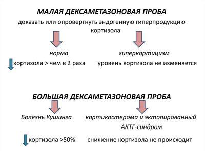 Формоловая проба положительная: причины, интерпретация и действия