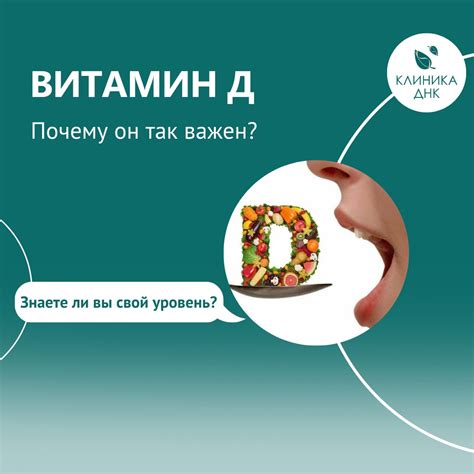 Функции витамина D в организме