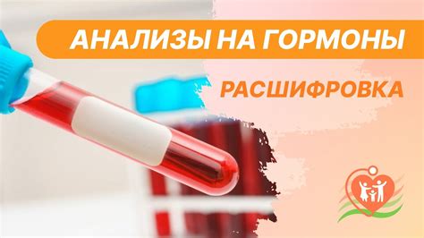 Функции гормонов ЛГ и ФСГ у женщин