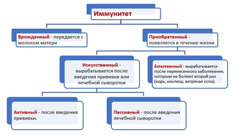 Функции иммунологической эффективности